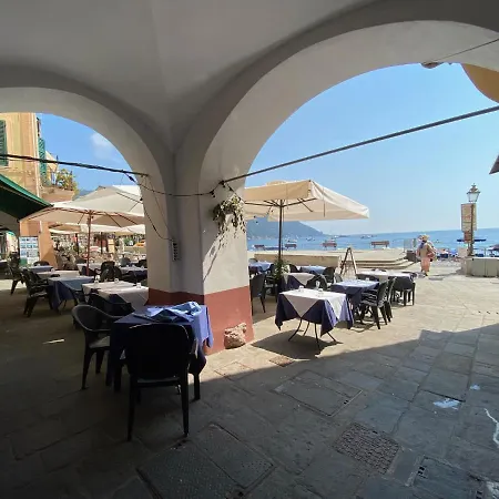 Apartman - 